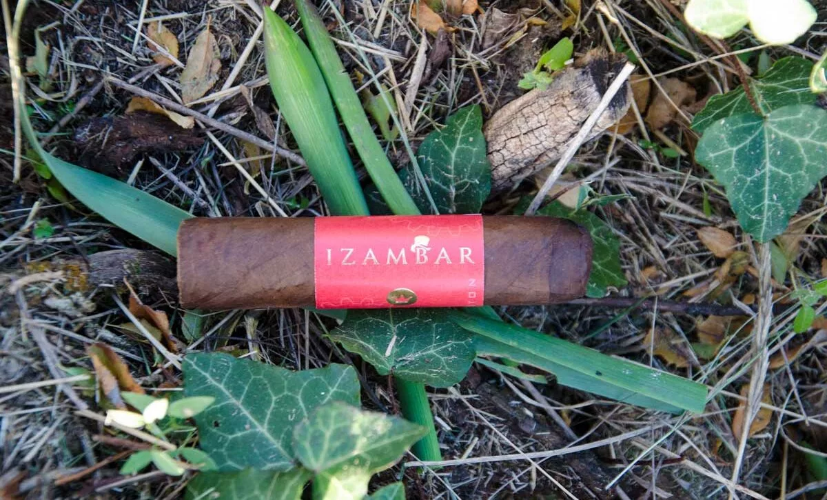 paddington-el-gordito (1)