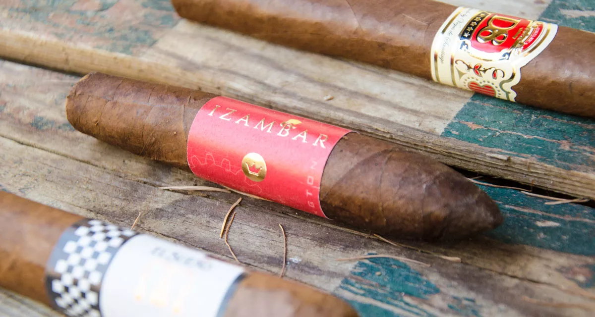 paddington-el-perfecto