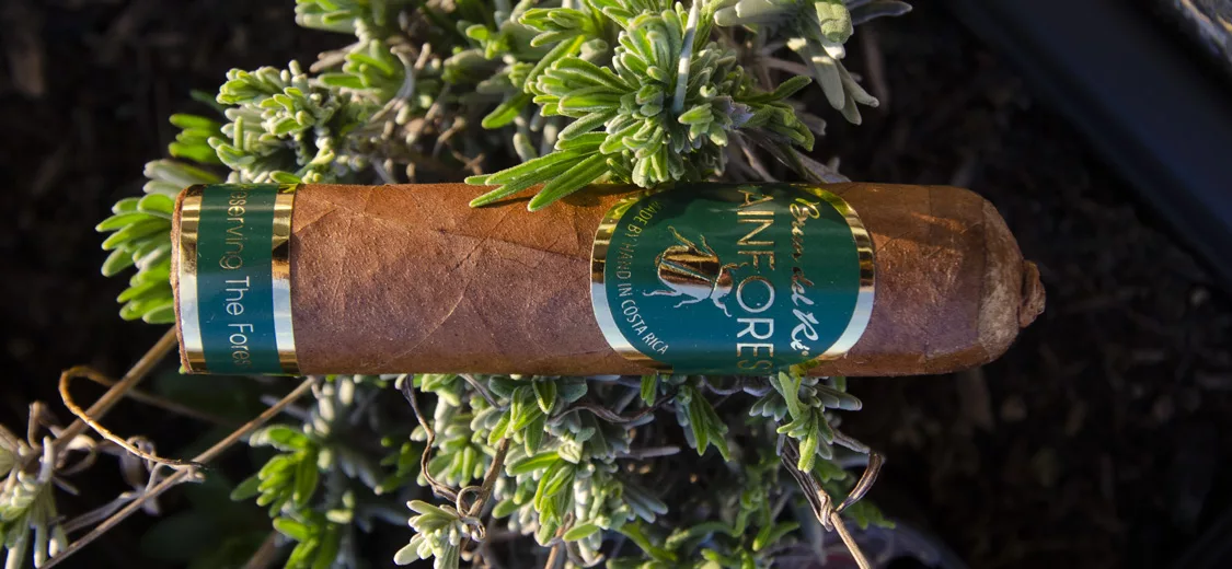 brun-del-re-1787-rain-forest-short-robusto