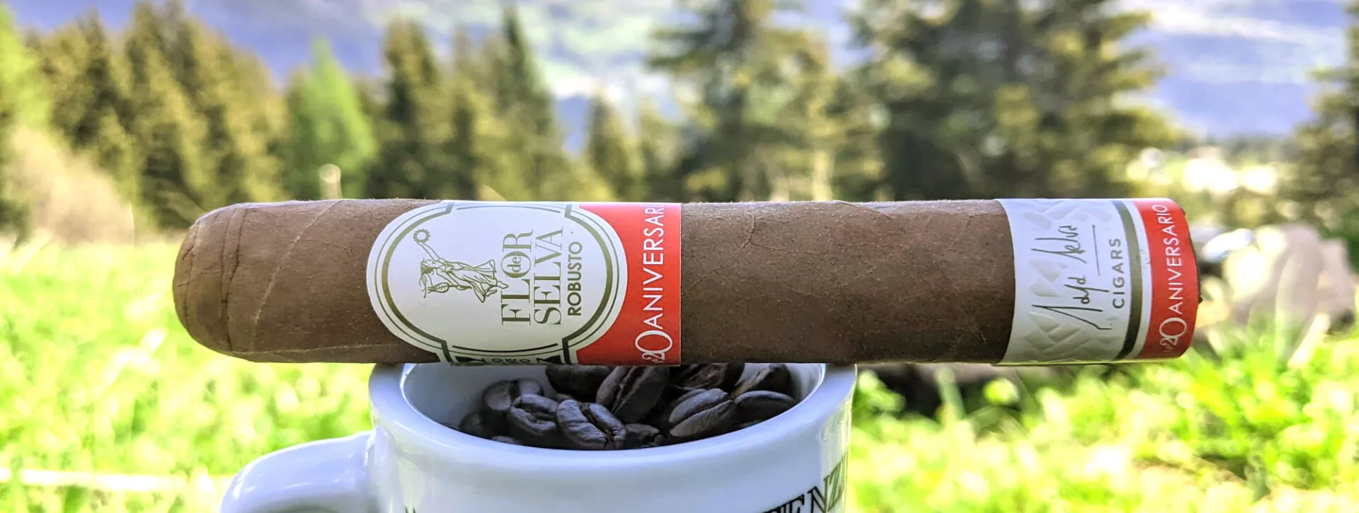 flor-de-selva-coleccion-aniversario-n20