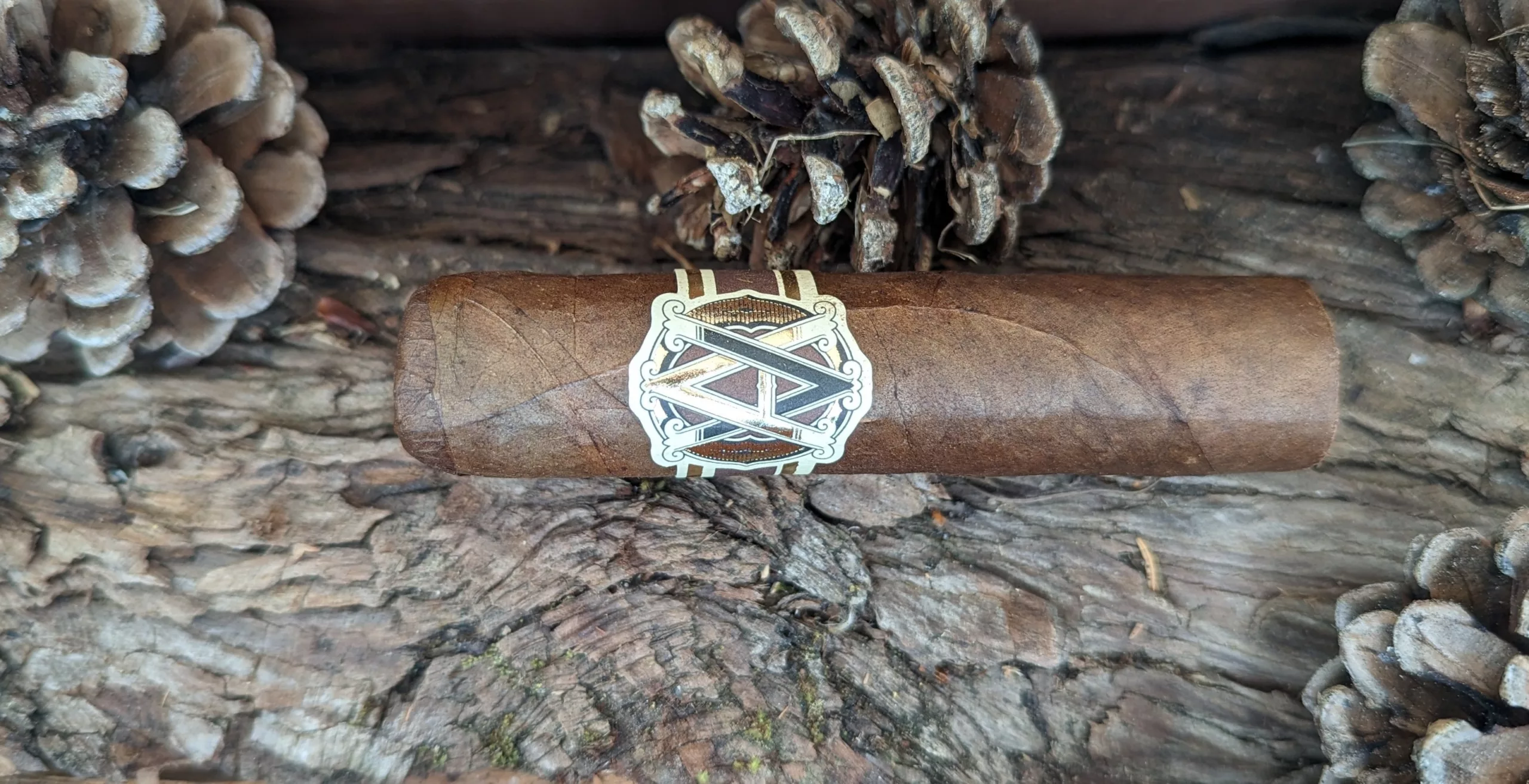 avo-heritage-short-robusto