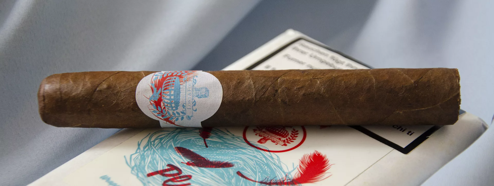 lost-and-found-plume-toro (1)