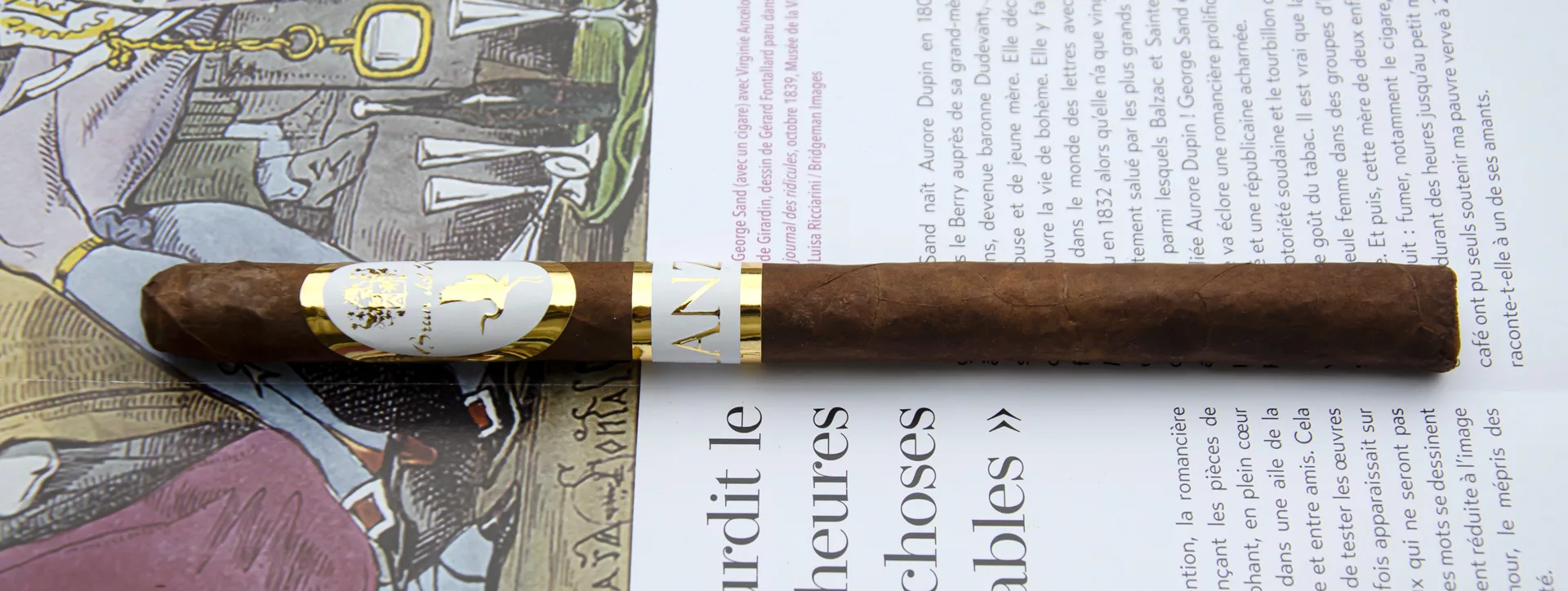 brun-del-re-1787-rain-forest-lanza-lancero (1)