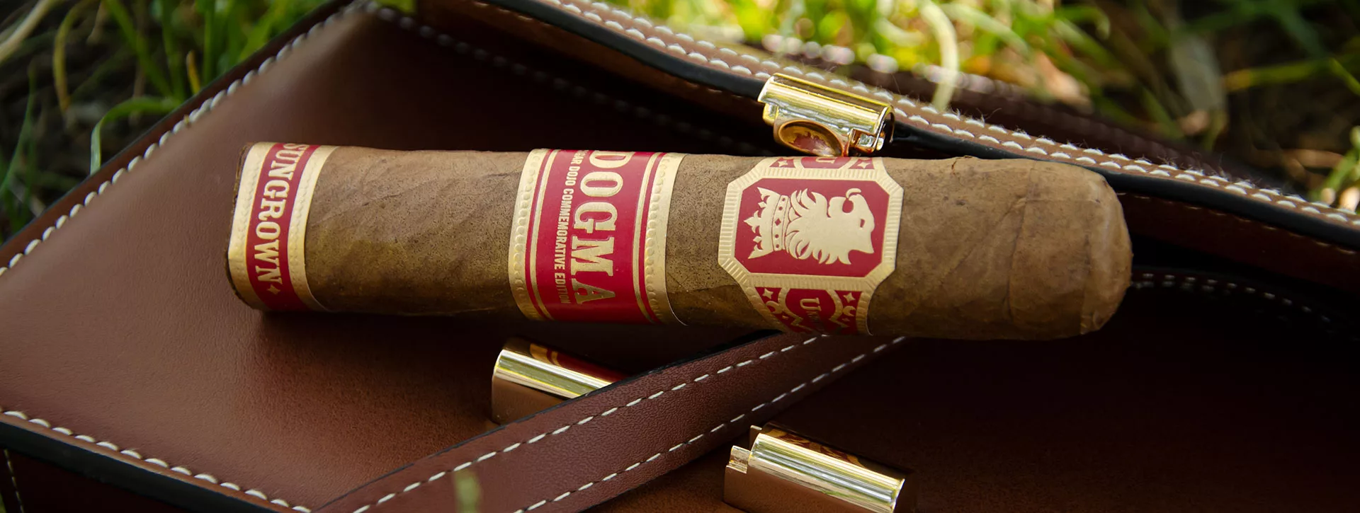 undercrown-sun-grown-dogma