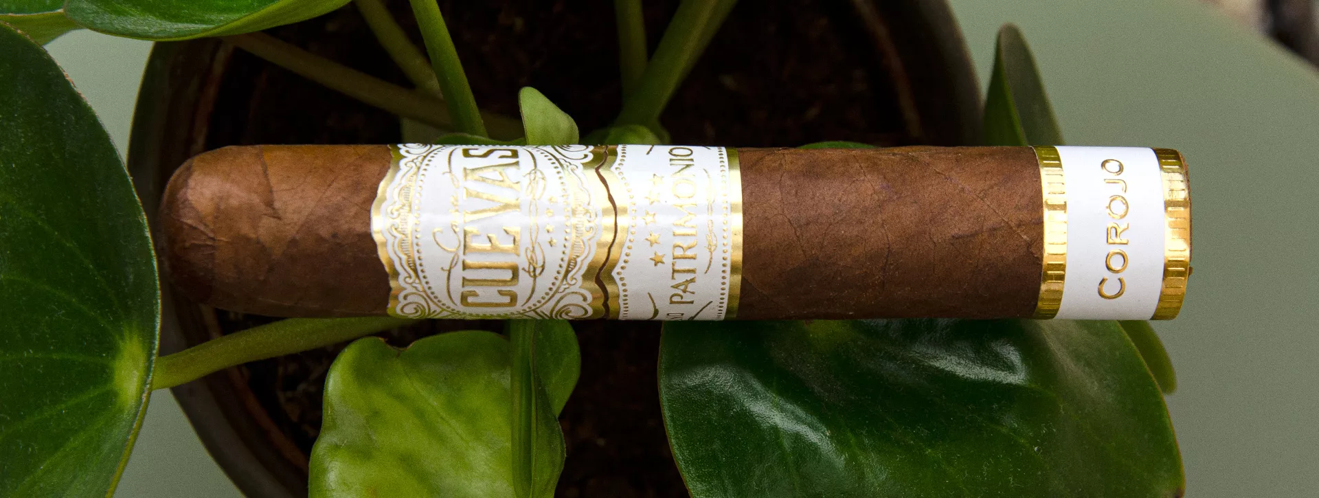 casa-cuevas-patrimonio-robusto