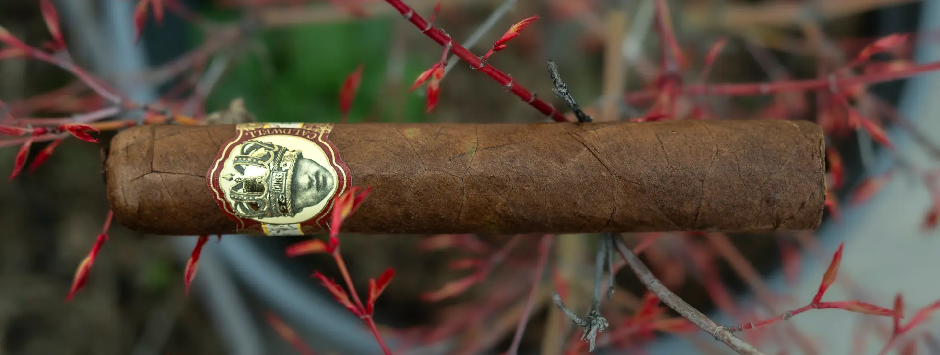 caldwell-long-live-the-king-marquis-gordo