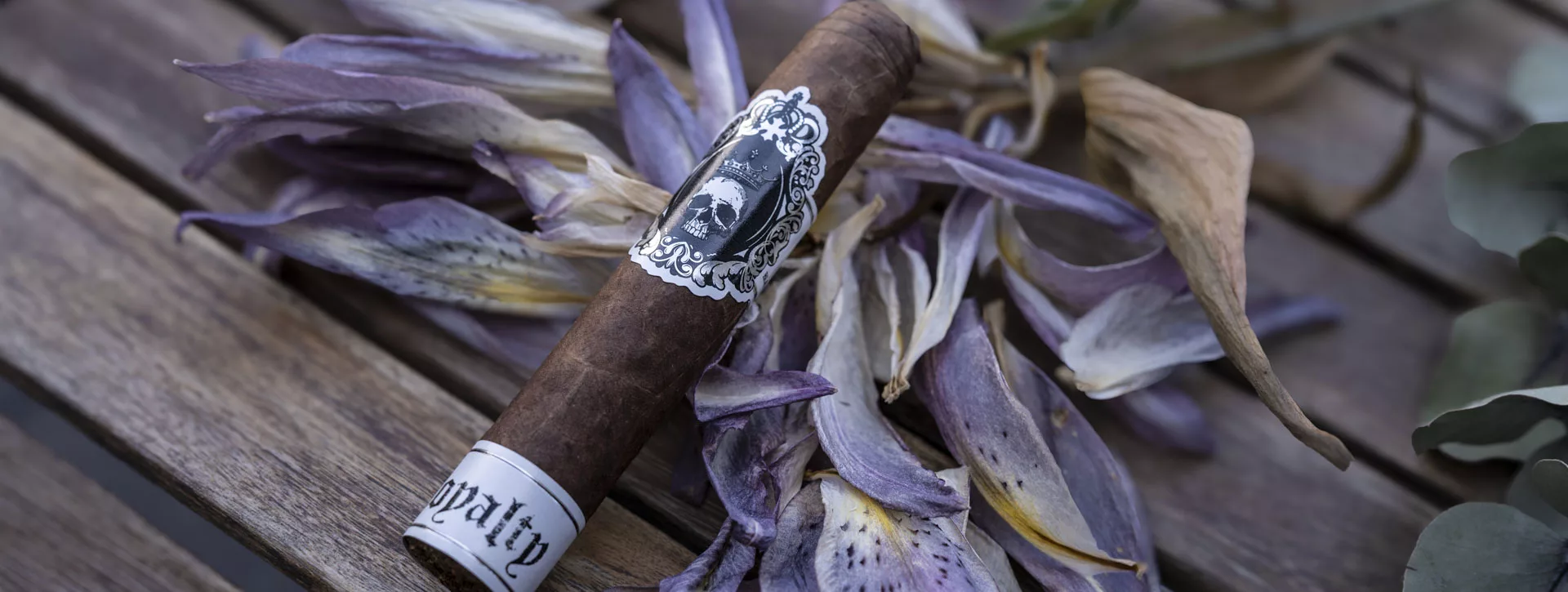 black-label-royalty-robusto