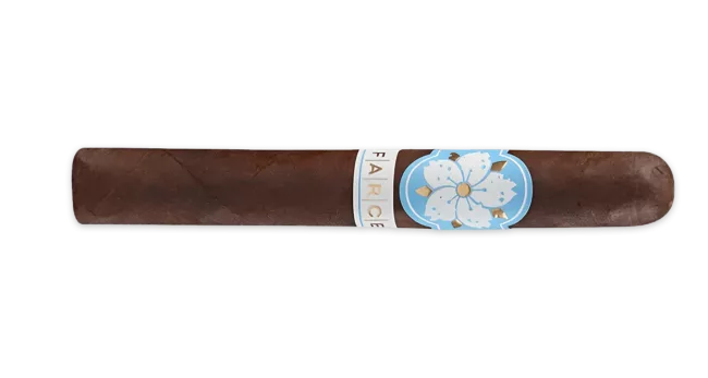 Room 101 Farce Nicaragua Toro