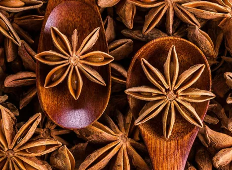 Une histoire d’épices