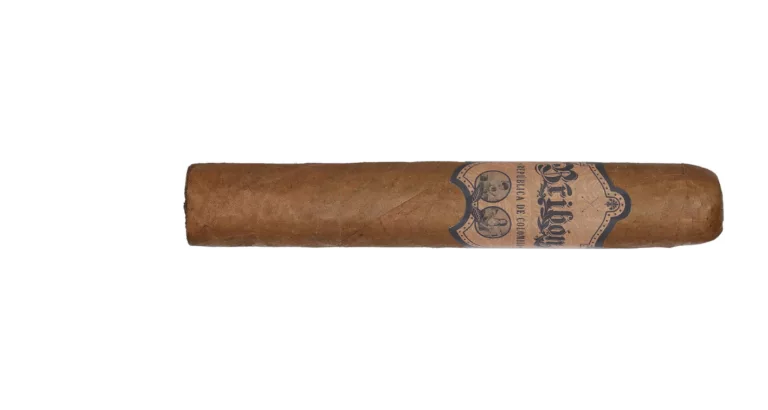 Bribon Robusto