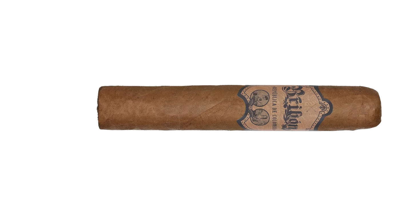 Bribon Robusto