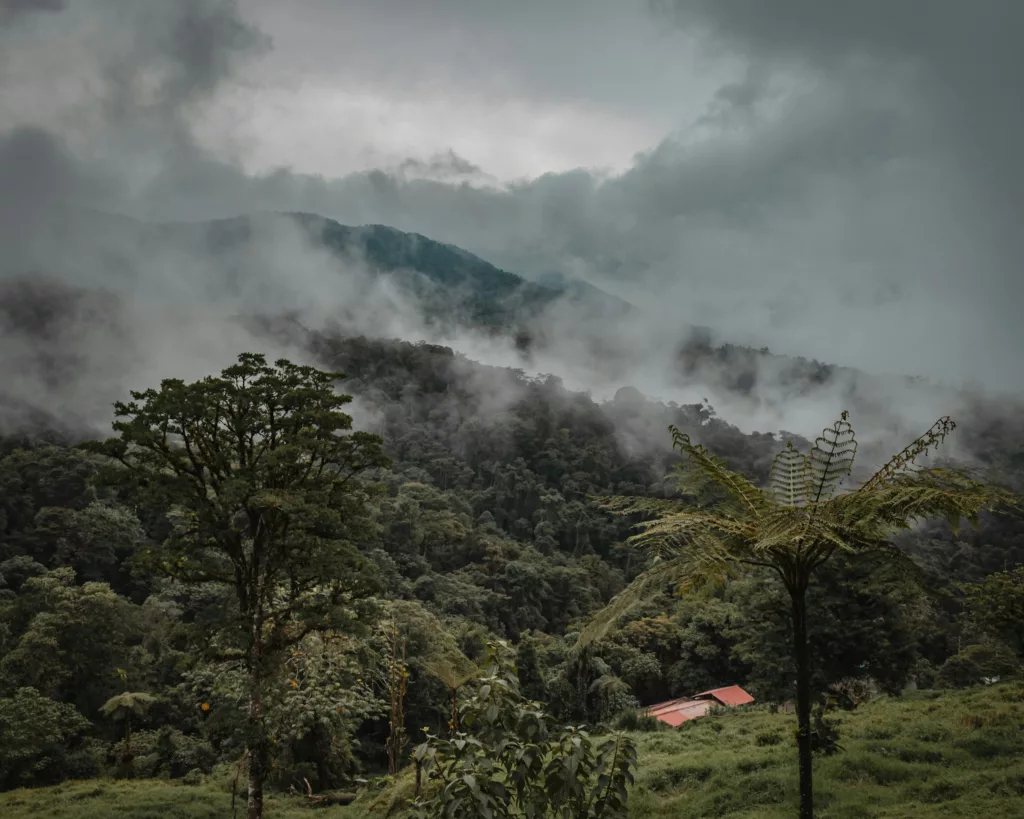 Hochland im Nebel, Costa Rica