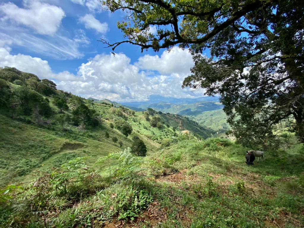 Das Hochland von Dota, Costa Rica